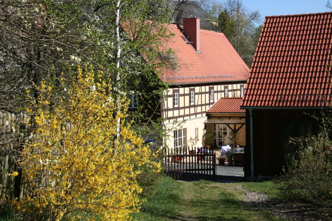 Вілла Fachwerkhaus Maxen Muglitztal Екстер'єр фото